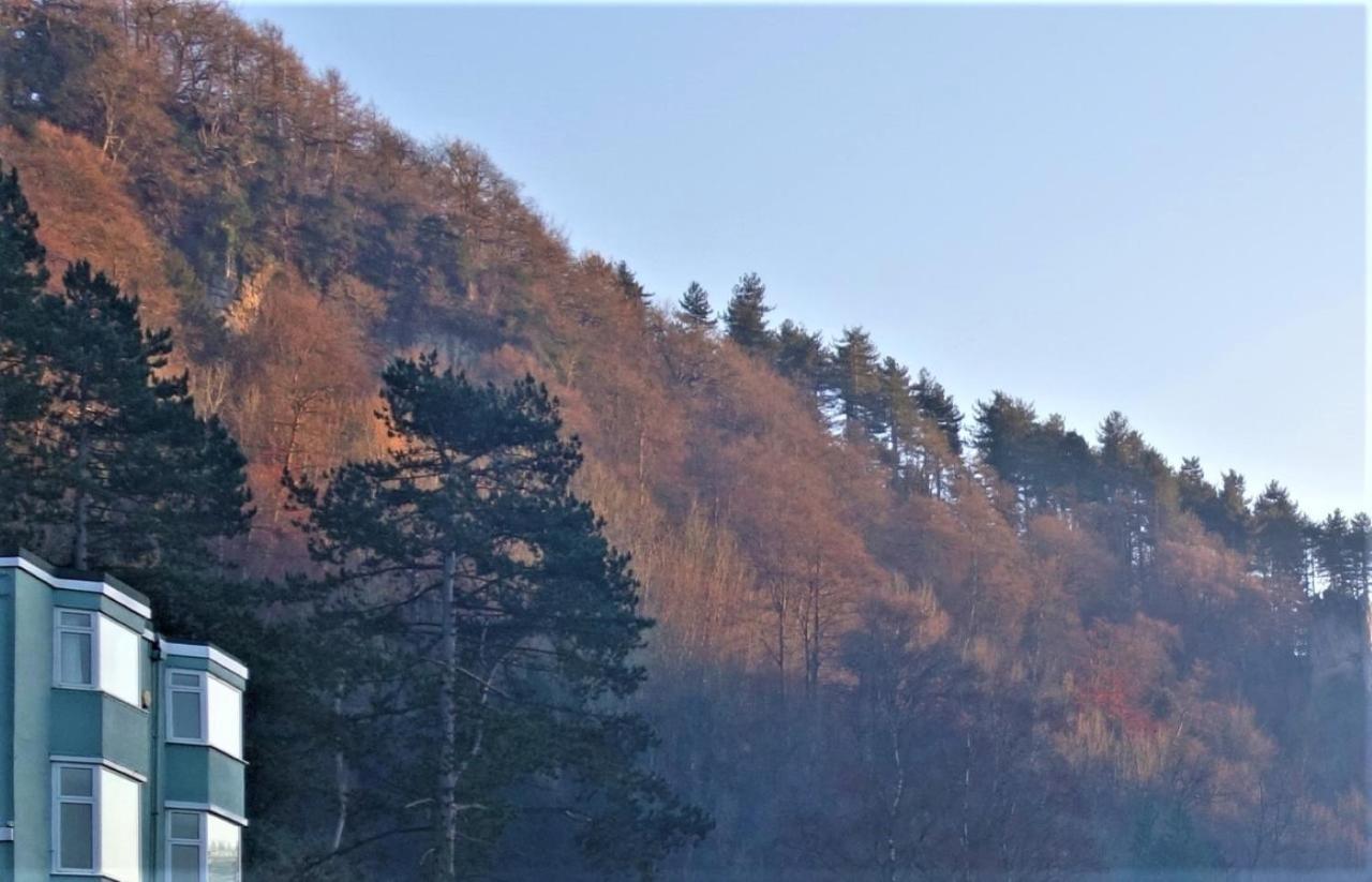 Wye Rapids House Bed & Breakfast Symonds Yat Dış mekan fotoğraf